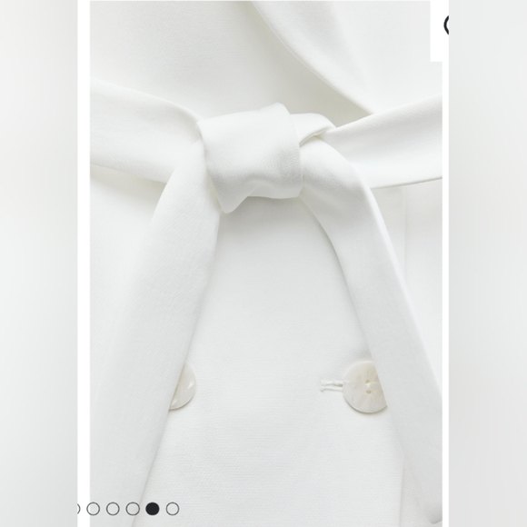 Zara Long Double Breasted Vest - Picture 5 of 5